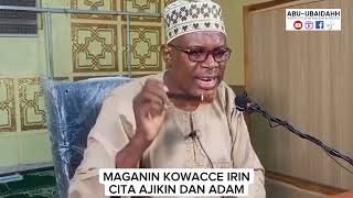 Maganin Kowane Irin Ciwo Cuta. Dr Wali Herbal Medicine Gombe. Islamic Medicine.