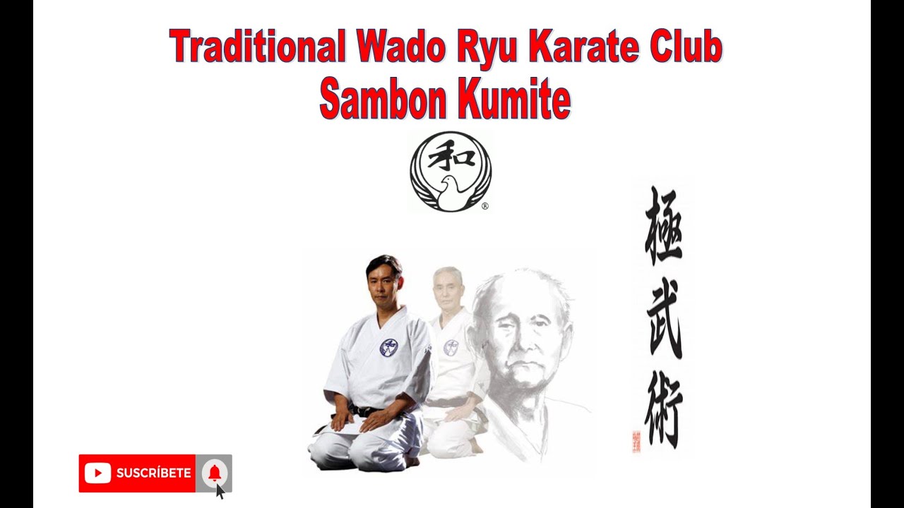 Sambon Kumite Wado Ryu Renmei