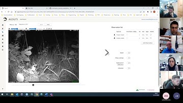 3.1-Improving authomatic distance calibration in AGOUTI for camera trap density estimation