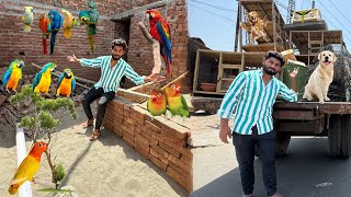 Parrots Aviary Yaha Bna Rhe Ha  Market K Sare Pets Le Gye