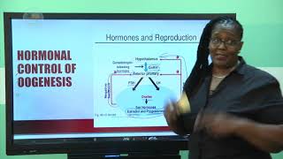 SS CAPE Biology- Hormonal Control of Gametogenesis Part 2 Of 2