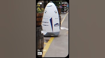 EXCLUSIVE FOOTAGE: New "AI TECHNOLOGY" patrols Lowe