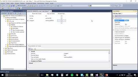 Programa de Sorteio com foto c#