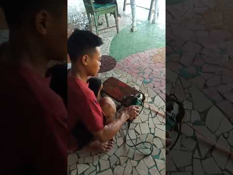 Pemuda Omah Tani