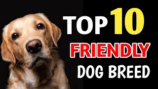 best friendliest dog breeds