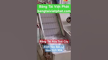 Băng tải xích tấm inox 304 (còn gọi băng tải bản lề) trong băng chuyền rửa rau cỏ trái cây tự động