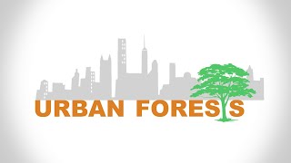 Forest Fast Break: Urban Forests