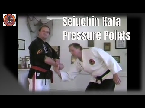 Seiuchin Kata Pressure Points/Dillman DVD 2 /Kyusho Jitsu/Tuite Jitsu