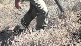 Dog Training & Bird Hunting Tip: Using High Ground for Success | Wingshooting USA