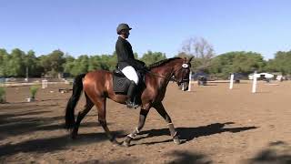 Didiel Rosa (Melenio) - USAWE Region 2 Championship October 2025 - Ease of Handling