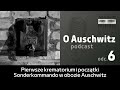 O auschwitz odc 6 pierwsze krematorium i pocztki sonderkommando w obozie auschwitz