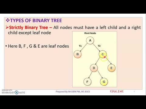 DS - MODULE 4 - TOPIC 2 - BINARY TREE