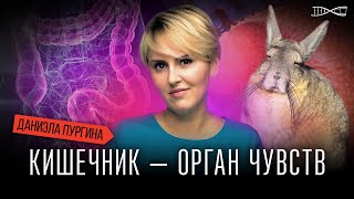 Лекция Даниэлы Пургиной "Почему кишечник можно считать органом чувств?"