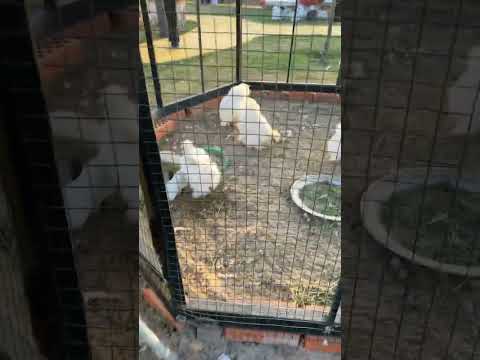 طريق السيل الصغير قرية أجدان