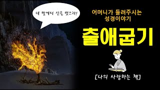 출애굽기 말씀 듣기(Listening to the Korean Bible : Exodus) #나의사랑하는책 #자면서듣는성경 #성경낭독 #성경듣기 #묵상 #말씀 #성경일독 #기도