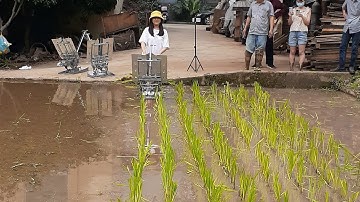 Useful rice transplanter