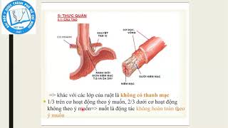 HAHECO Education - GPSL Digestive System HAHECO Education - GPSL Digestive System