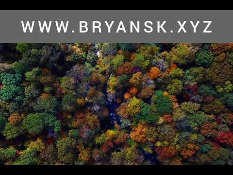 Дятьково - Брянская область. Дятьково - город в Брянской области, где производят мебель. Брянск 2021