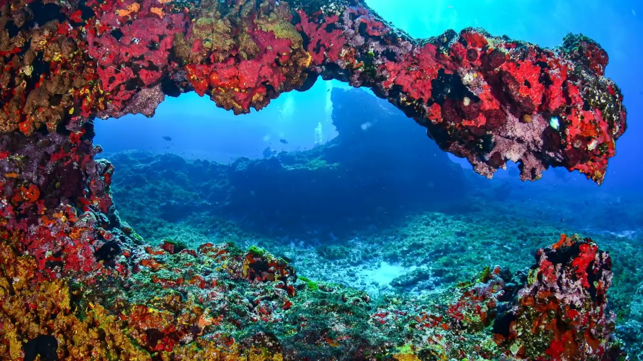 Bazaruto Archipelago viral travel video