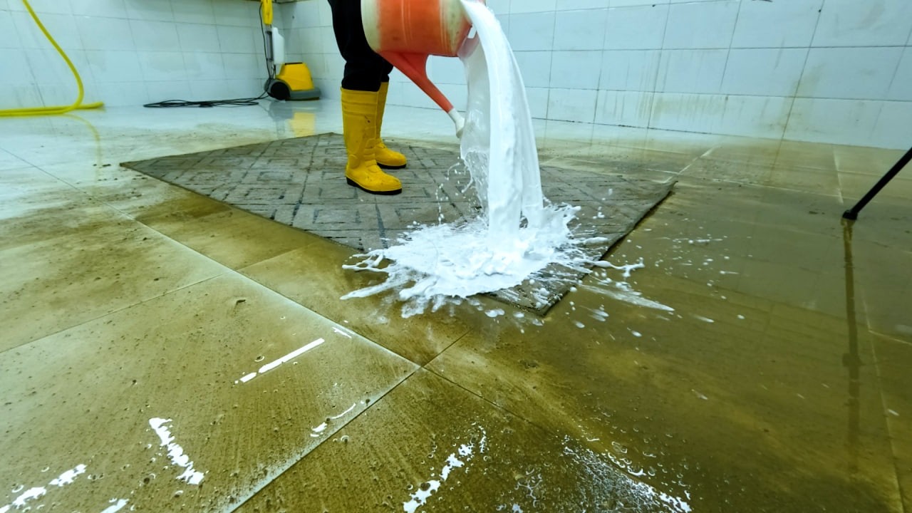 Pouring Thick Foam on a Filthy Carpet 😳 | Satisfying Deep Cleaning ASMR