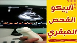 أهمية الموجات فوق الصوتية على القلب ( الإيكو)