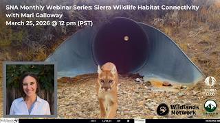 Sierra Wildlife Habitat Connectivity | Mari Galloway