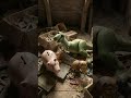 Abandoned Cartoon / Abandoned Childhood