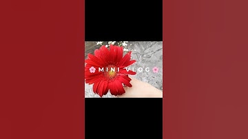 Mini vlog✨🍒 #minivlog #food #weeklyvlog #shorts #explore #subscribers #foryourpage #vlog #asmr #fyp