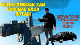 : Gong separatori. Molning gongidan qanday daromad qilsa boladi?