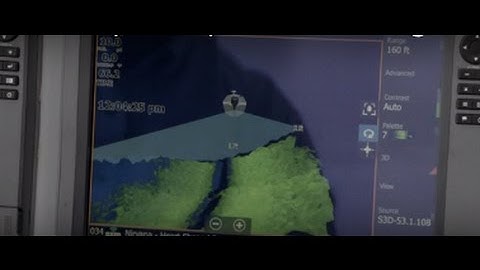 Saltwater Experience: New Lowrance 3D Structure Scan Technology