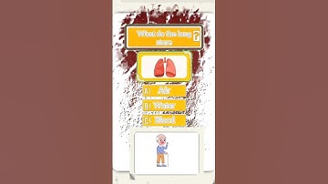 General Knowledge Quiz? #quiz #quiztime #challenge