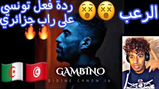 Didine Canon 16 - Freestyle Gambino ردة فعل تونسي على راب جزائري
