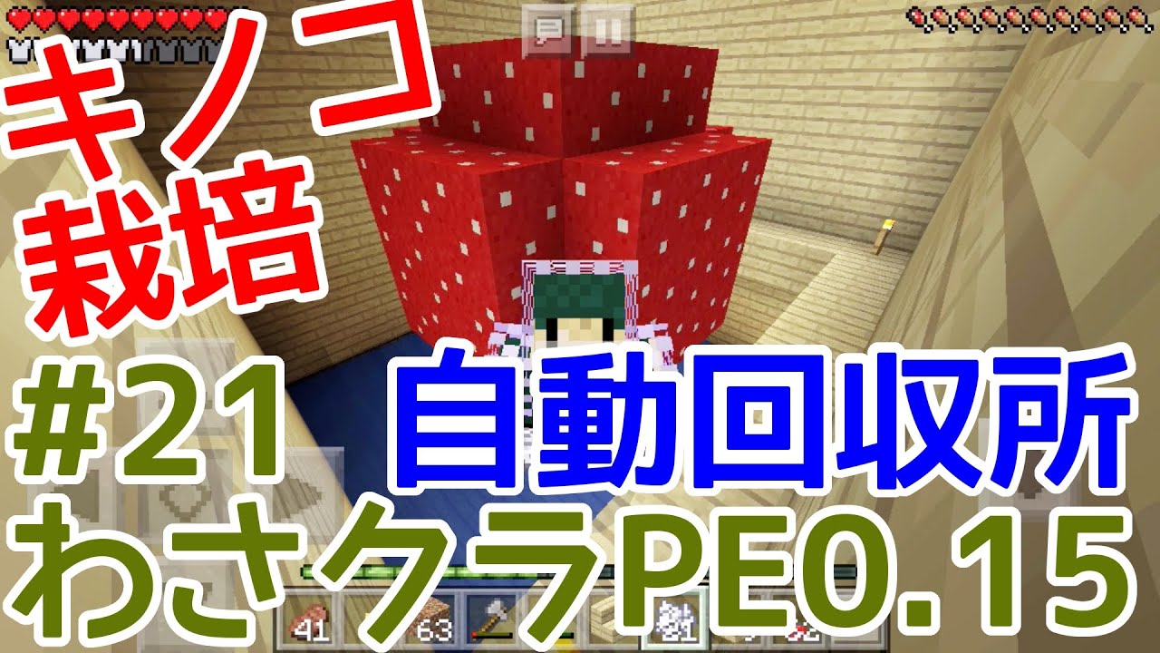 マインクラフトpe キノコ栽培場 自動回収所を作ってみた わさクラpeゆっくり実況 21 Youtube