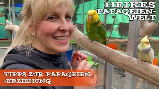 Tipps zur PapageienErziehung