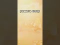 ПВП на сервере майнкрафт #shorts