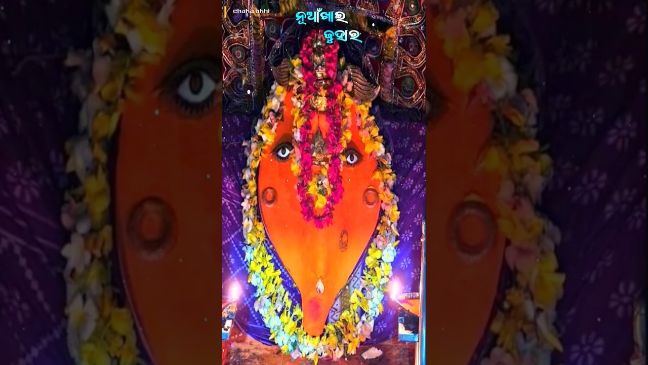 Nuakhai Status Video 2025 🙏🌾 ||Nuakhai Juhar || 