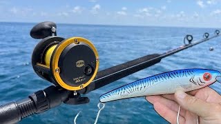 Trolling! Kings and Cobia in the Atlantic Ocean.