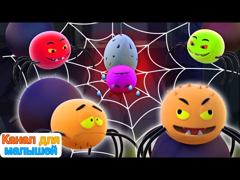 Видео: 5 забавных пауков 