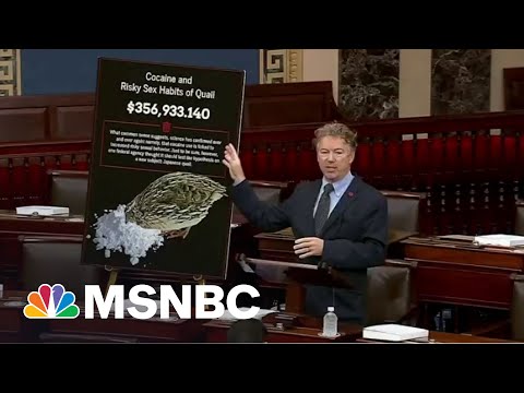 Why Rand Paul Is Upset About Quails On Cocaine | All In | MSNBC