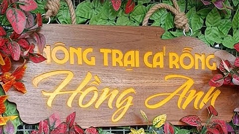 Tham quan trại cá Rồng Hồng Anh và giải cứu chú lừa bị quấn dây #beach #zoo #travel #dulich #cárồng 