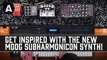 New Moog Subharmonicon Semi-Modular Synth - Tonal Exploration Like Never Before!