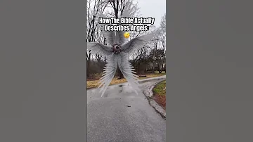 Biblical Angels Are Terrifying Angels Bible God Angel Youtube Shorts 