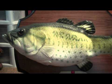 ***BIG MOUTH BILLY BASS*** (Singing fish)