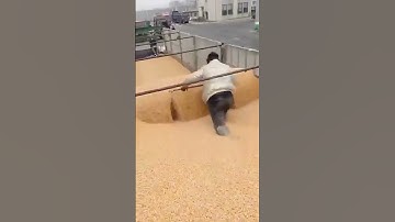 Manual Grain Unloading Process - Unique tools to boost efficiency and streamline work