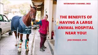 Large Animal Medicine: The Benefits Of Having A Large Animal Hospital In Your Community