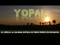 Del estero al morichal, una aventura llanera. Yopal día 1 y 2