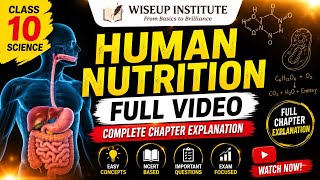 Class 10 Science Human Nutrition Explained Easily | WiseUp Institute