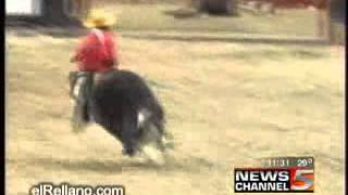 Whatsapp Funny video screenshot 3
