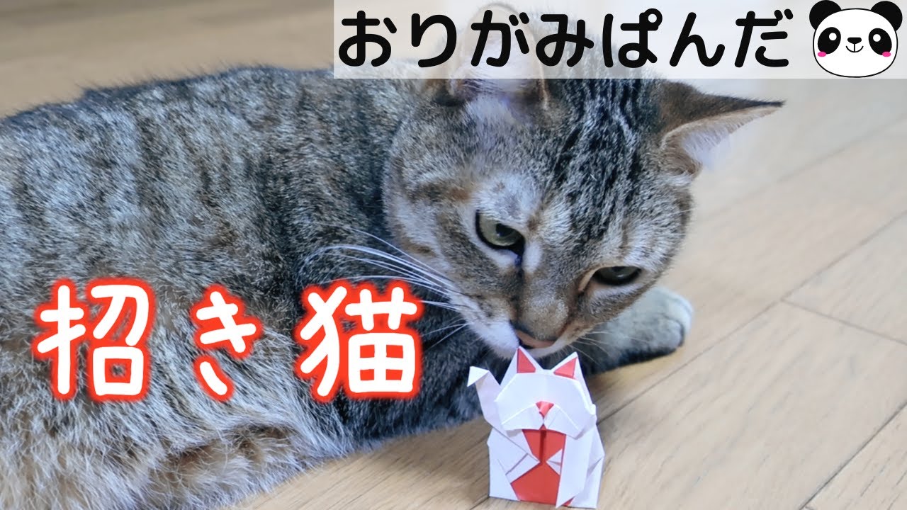 招き猫」折り方動画 - YouTube