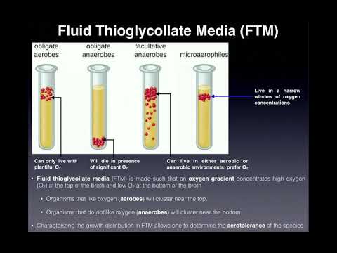 द्रव थियोग्लाइकोलेट मीडिया (FTM) की मूल बातें | उदाहरणों के साथ